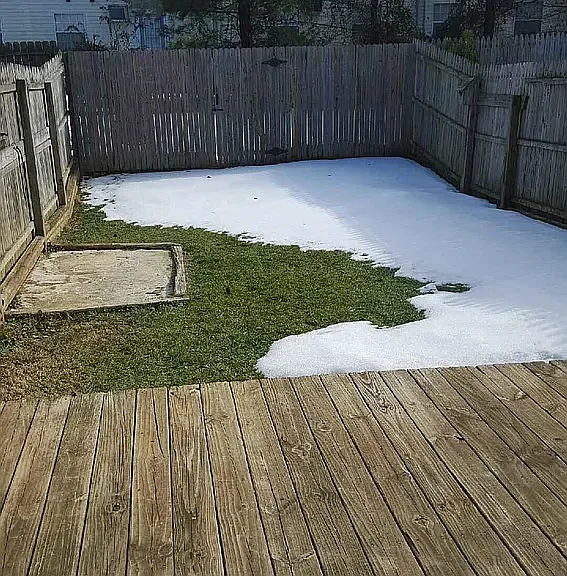 1862 Abbey Ln — Photo 11