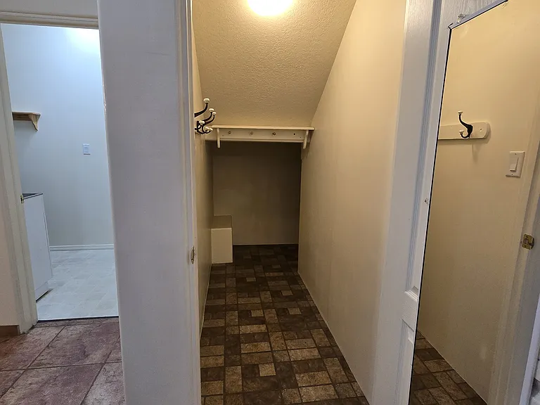 Closet space underneath stairs