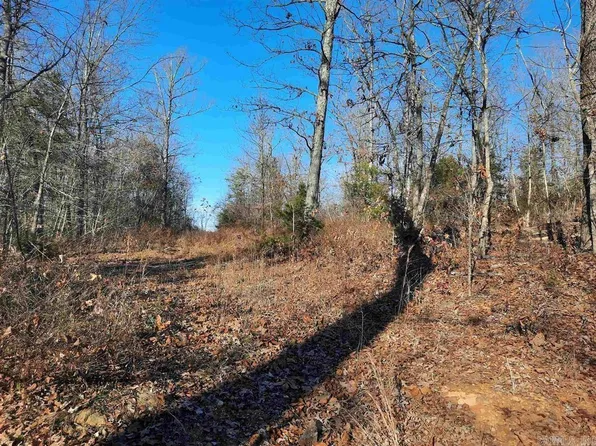 0 Wildhaven Rd, Mountain View, AR 72560