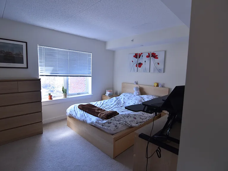 68 Marion St #305 — Photo 7