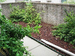 5th image of 13457 Wyndemere Cir