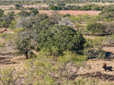 Berry Dairy Rd, Bryson, TX, 76427