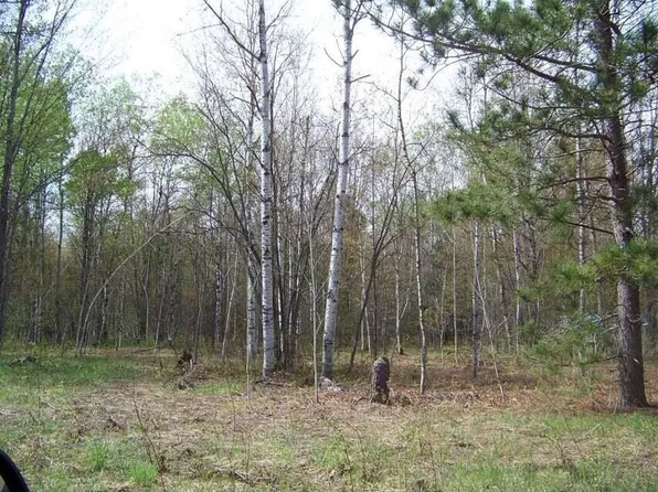 Old Stump Rd, Gaylord, MI 49735