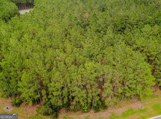 35 Sea Turtle Ln, Waverly, GA 31565