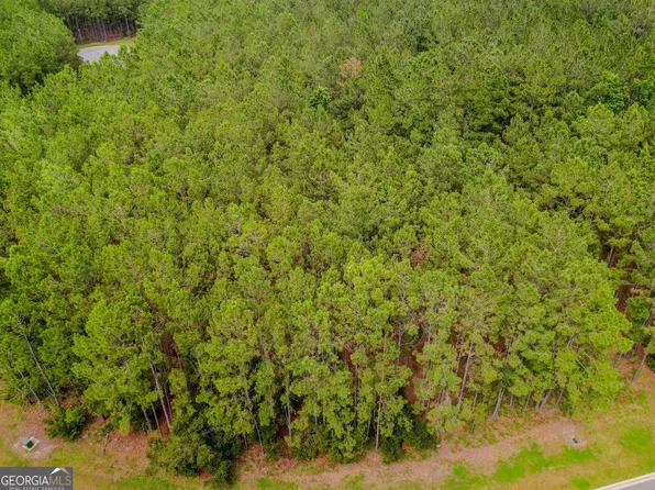 35 Sea Turtle Ln, Waverly, GA 31565