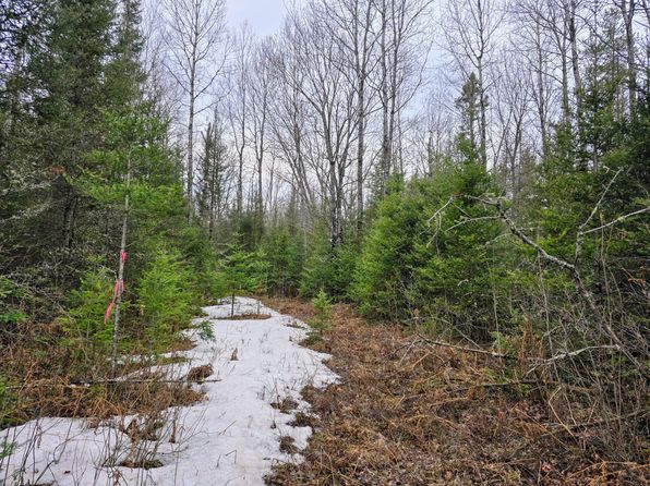 Off Hwy #45, Land O Lakes, WI 54540