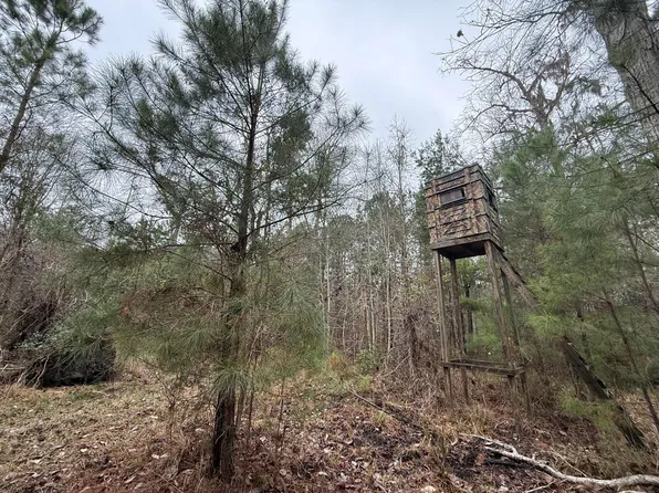 9750 Cottageville Hwy, Cottageville, SC 29435