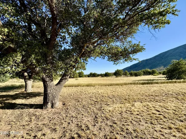 5755 E HOOT OWL HOLLOW -- #-, Hereford, AZ 85615