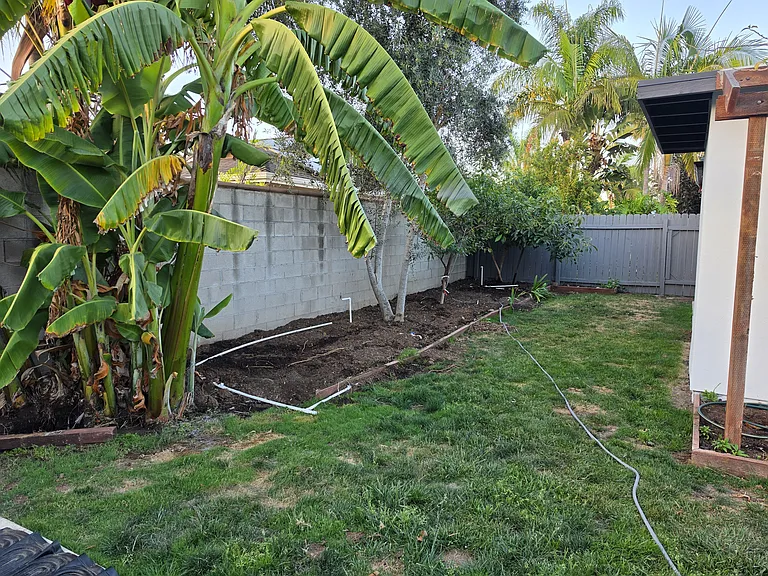 Garden space in the back yard