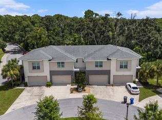 12823 Sanctuary Vista Trl, Tampa, FL 33625