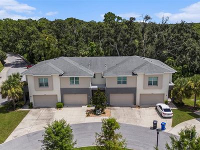 12823 Sanctuary Vista Trl, Tampa, FL, 33625