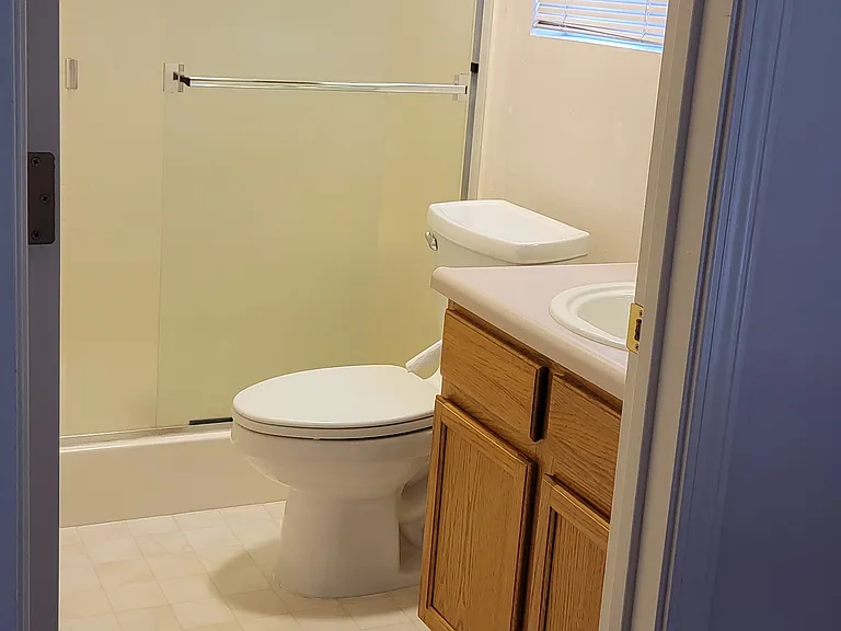Master Bathroom, same one