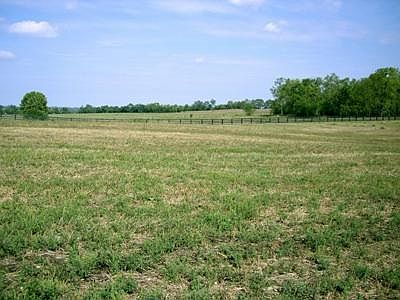5th image of 425 Chrisman Oaks Trl