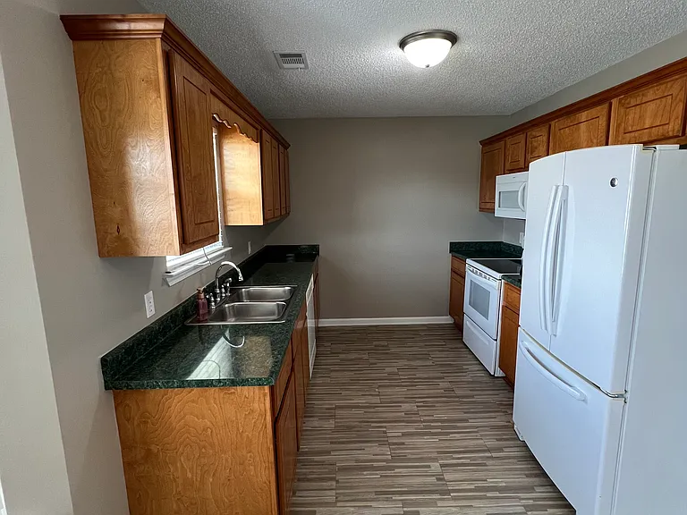 111 Pasofina Dr — Photo 3