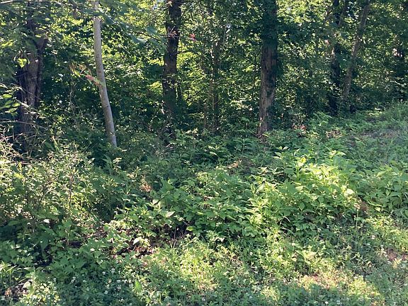 3rd image of 103 Stone Bridge Dr Lot 103