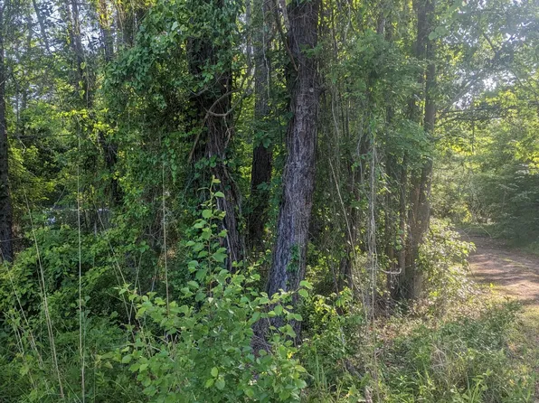 0 Us 117 Highway, Burgaw, NC 28425