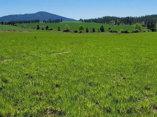 W Sunny Slopes Rd Lot 4, Worley, ID 83876