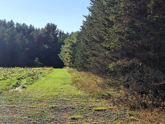 4th image of ON S LIMBERLOST RD