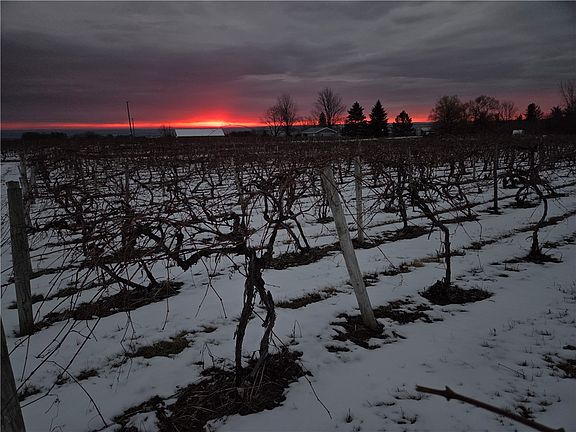 5th image of Sutton Rd Lot 6