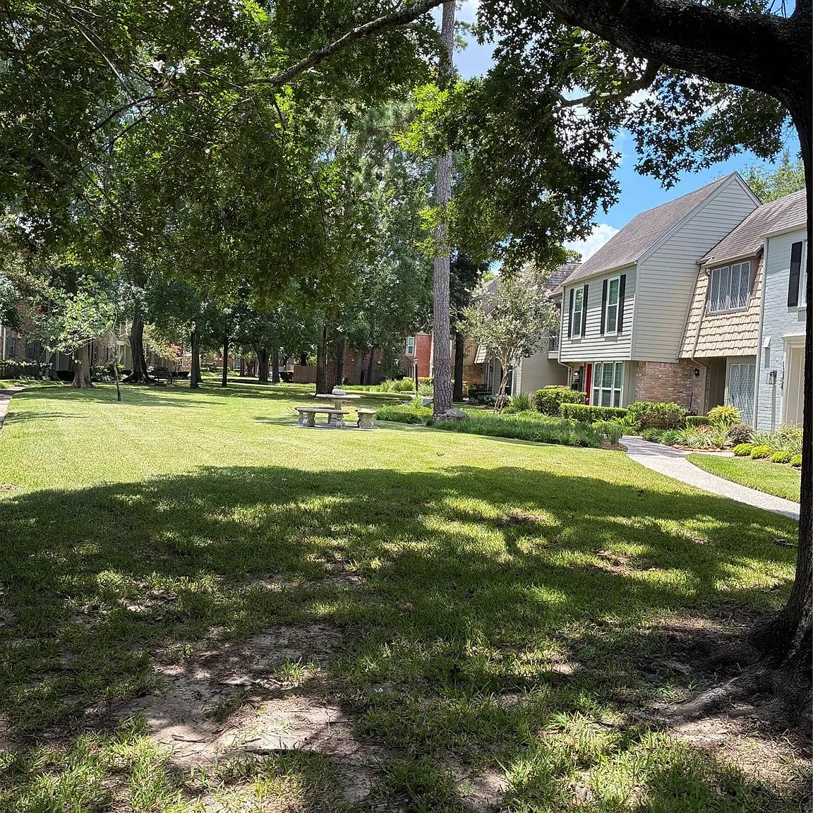1 bed, 1.0 bath, 903 sqft, $1,600 — Photo 2