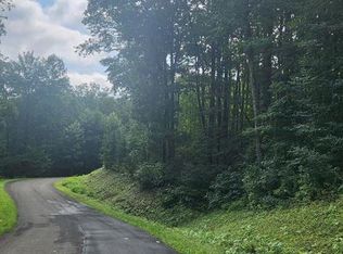 LOT 175 Trailwood Dr, Ellijay, GA 30536