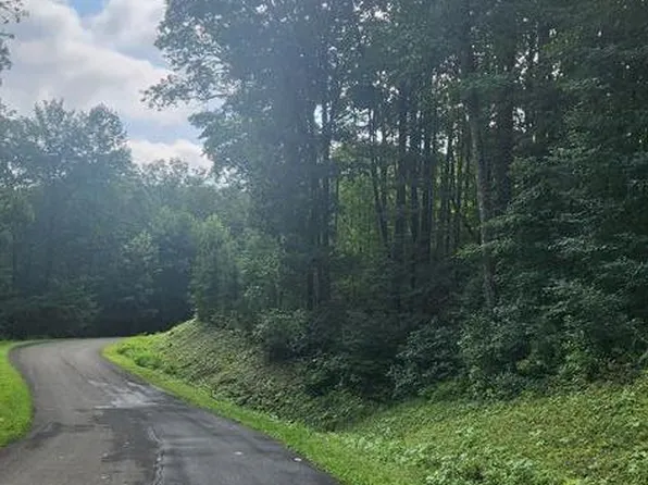 LOT 175 Trailwood Dr, Ellijay, GA 30536