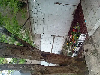 Rented by Real True Group