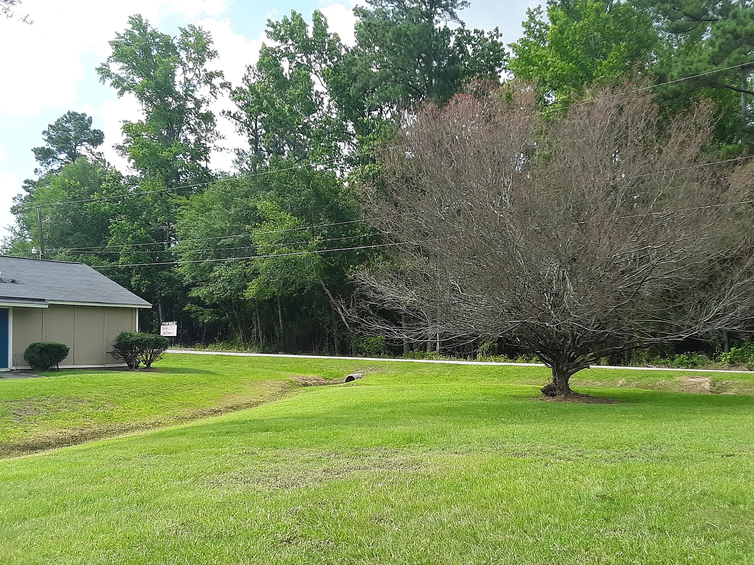 Pinehaven Villas (Affordable Housing; Income Limit Restrictions Apply) — Photo 4