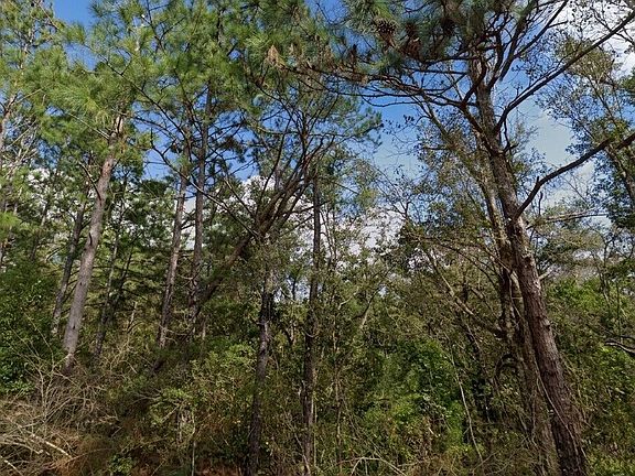 4th image of 0 Pollard Rd Lot A