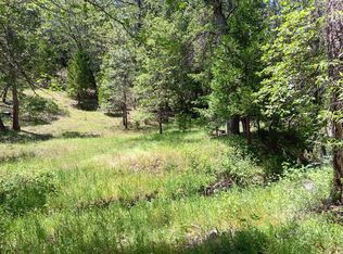 4121 Sierra Springs Dr, Pollock Pines, CA 95726