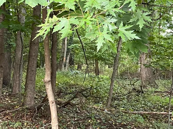 L-25 Mandl St, Trenton, NJ 08619