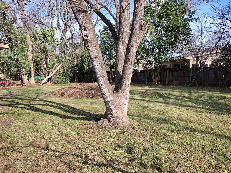 3237 Capwood Curv — Photo 34