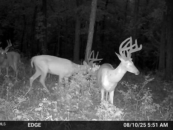 4th image of Highway Mm