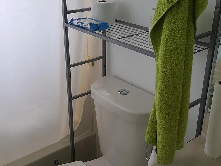 Guest bathroom