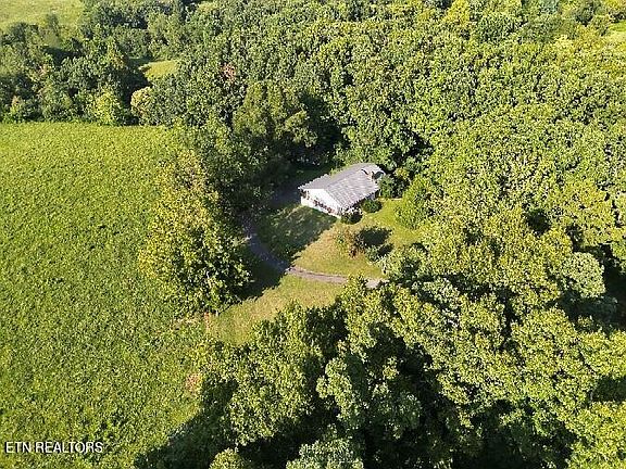 3rd image of 536 Ted Brooks Rd