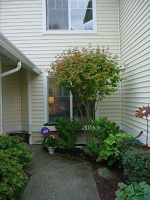 3rd image of 22716 43rd Ave S
