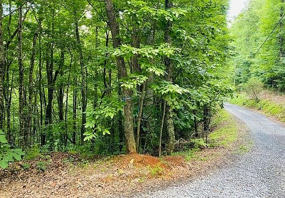 2nd image of Mollie Mountain Trl