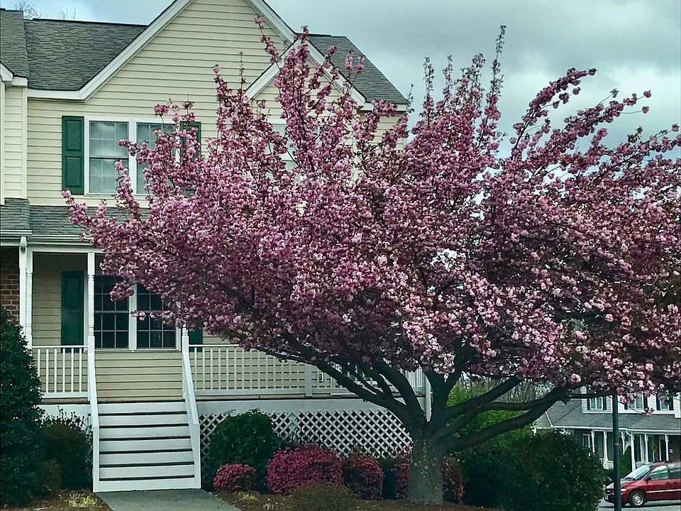 1st image of 200 Wexview Ln