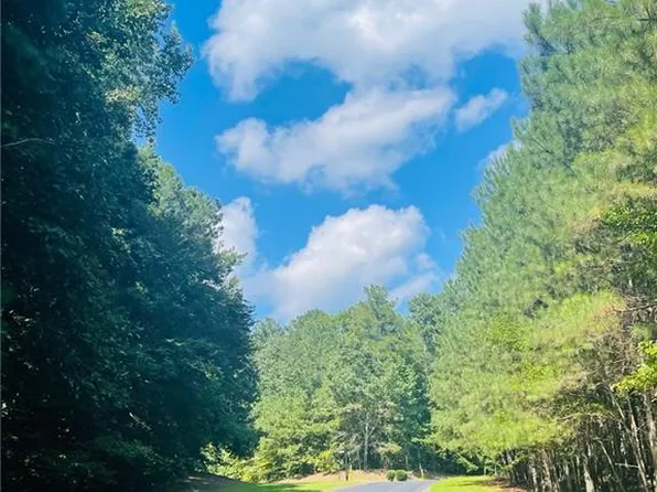 701 Hawks Ridge Dr #50, Ball Ground, GA 30107