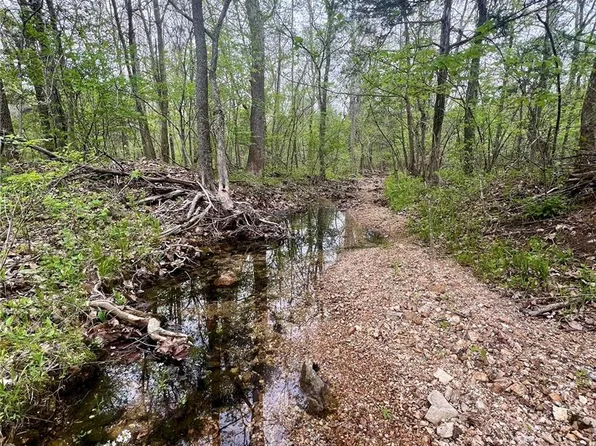 0 Thebeau Town Rd, Cadet, MO 63630