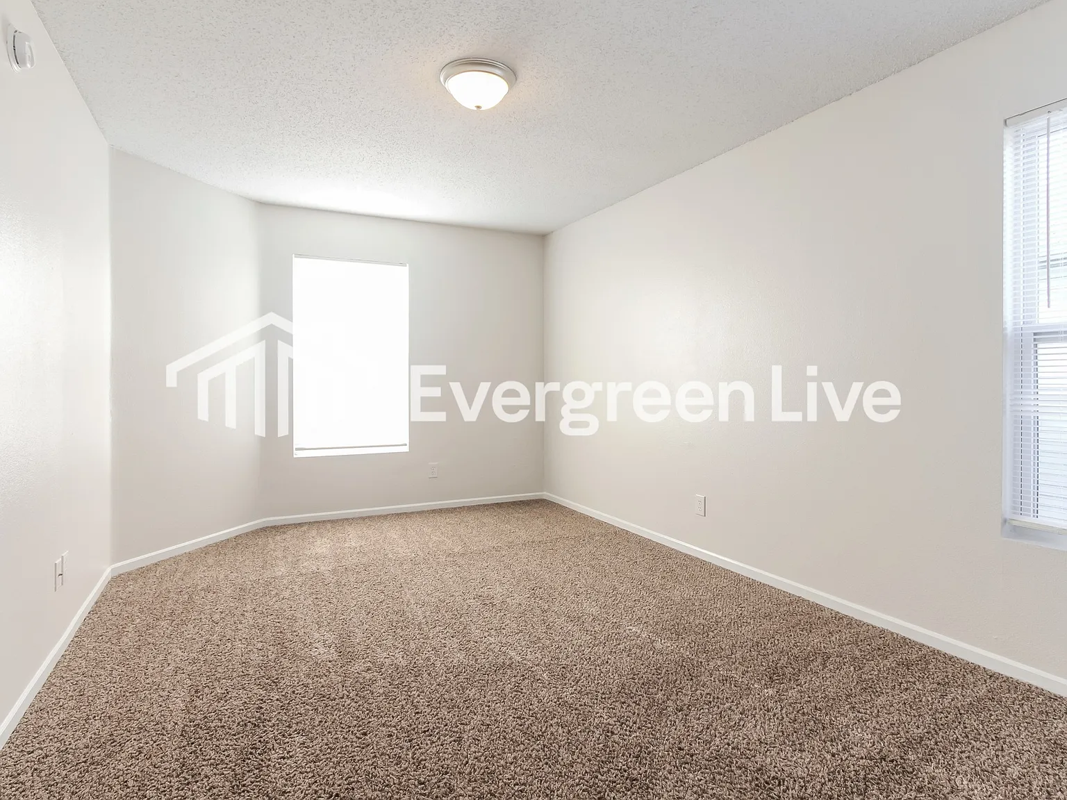 3 bed, 2.5 bath, 2446 sqft, $1,795 — Photo 2