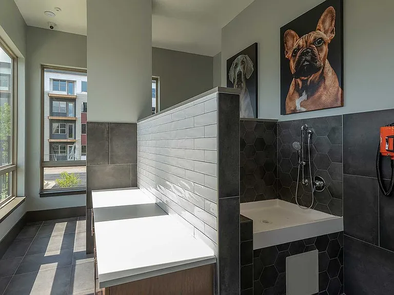 East building WAG Pet Spa