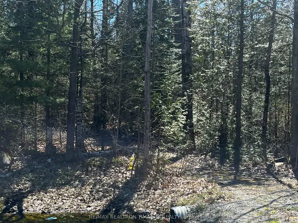 LOT 7 Champlain Rd, Tiny, ON L9M 0B6