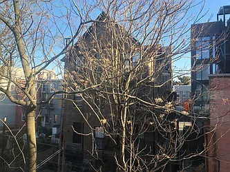 Rented by Bold New York