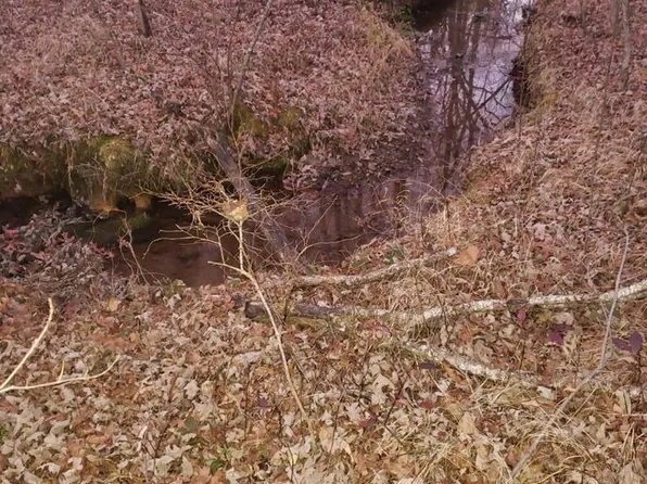 0 Indian Trl Lot 45, Monterey, TN 38574