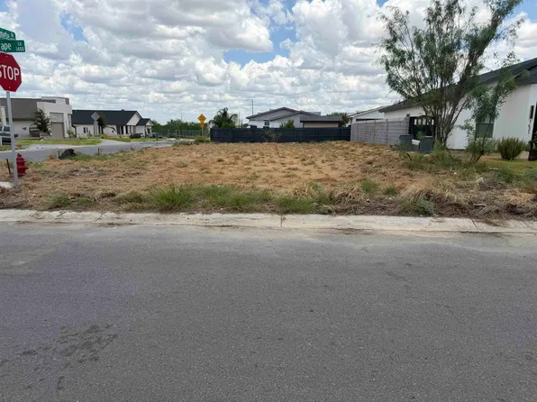 1433 El Zarape Ln, Laredo, TX 78043