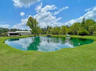 11550 Herman Ernest Rd, Denham Springs, LA 70706