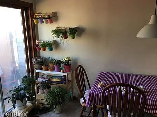 11 Myrtle #7 Somerville Shared Unit Photo 5