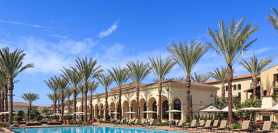 Gorgeous pool