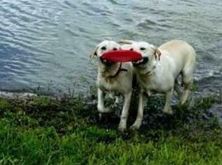 11077 238 Te, Miami, FL 33032